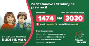 Стефан и Страхиња